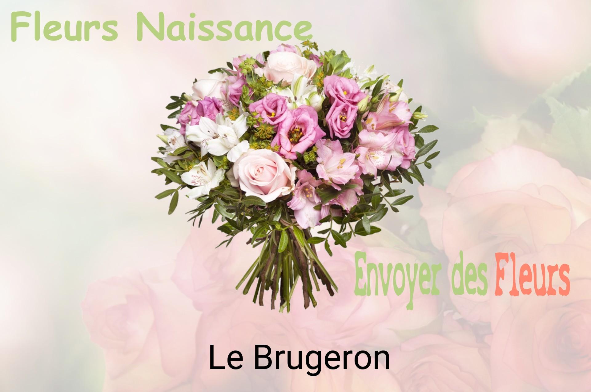 Bouquet de fleurs de naissance livré à Le Brugeron